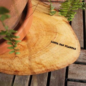 Suporte Base para Plantas Vol